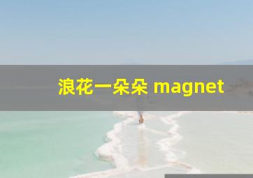 浪花一朵朵 magnet